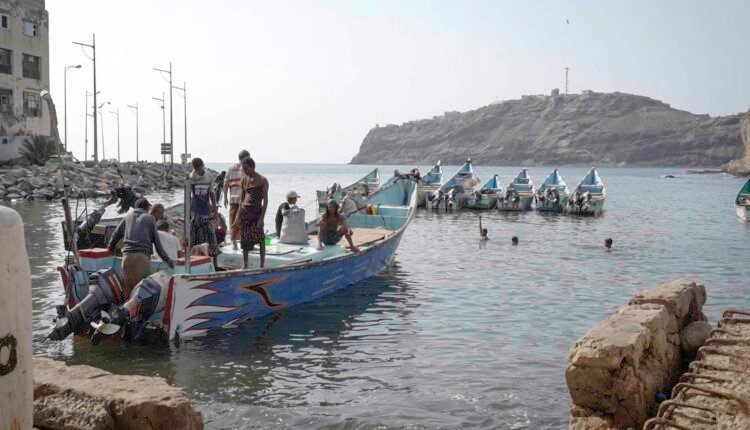 Fish Market in Aden