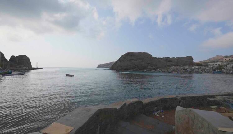 Fish Market [Wide]_3