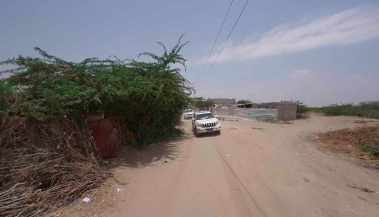 Local NGOs at remote areas