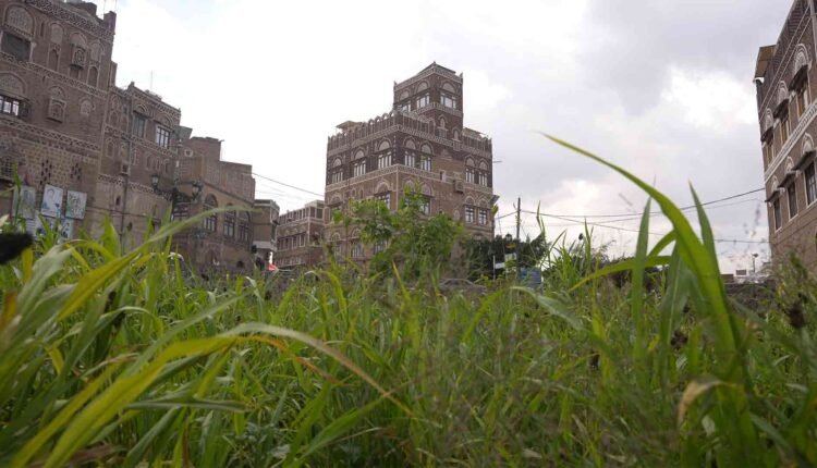 Wide View of Old Historic Houses [3]