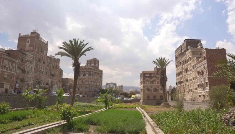 Wide View of Old Historic Houses [6]