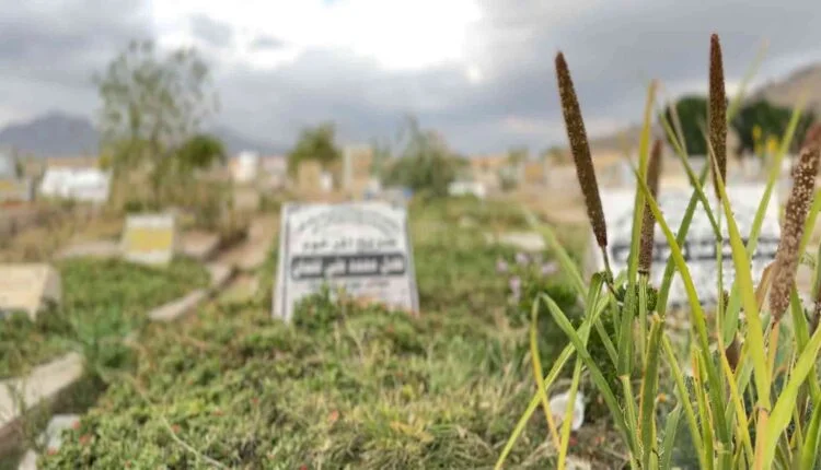 Among Cemeteries [Graves] [2]