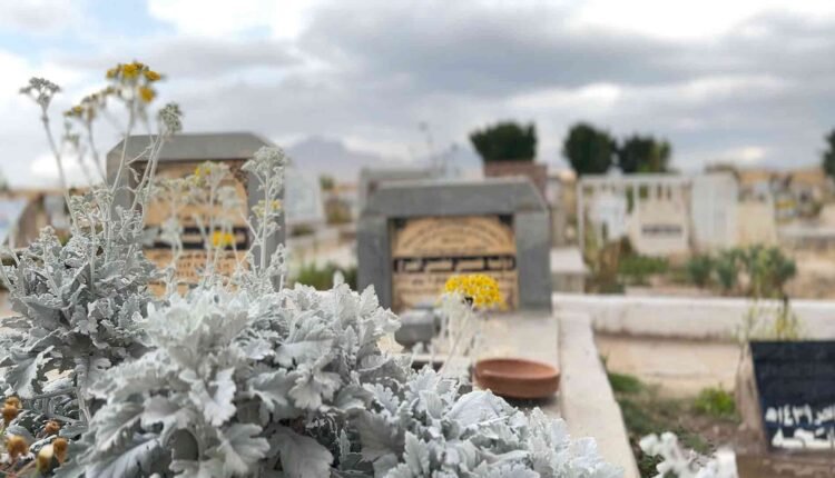 Among Cemeteries [Graves] [5]