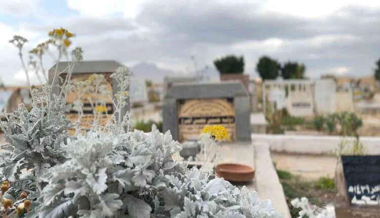 Among Cemeteries [Graves] [5]