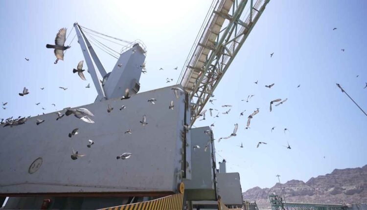 Preparing for cargo offloading [2]