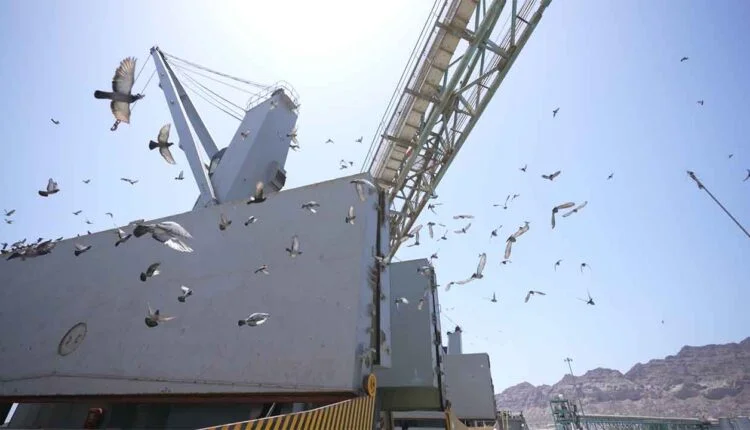 Preparing for cargo offloading [2]