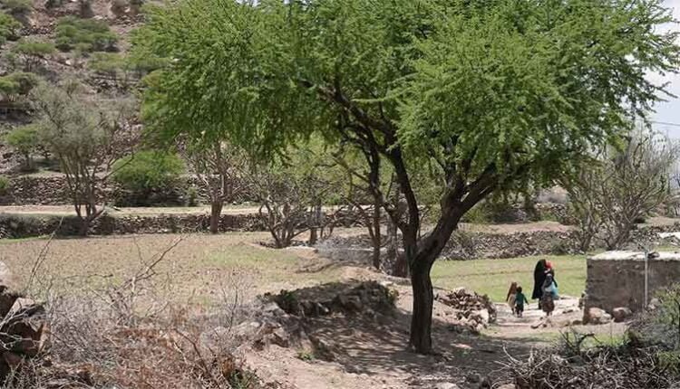 Remote Village in Ad Dali