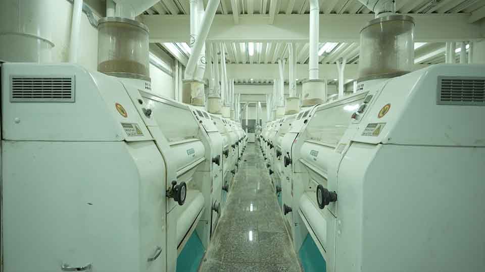 Inside Yemen Company for Flour Mills and Silos Stock Arena