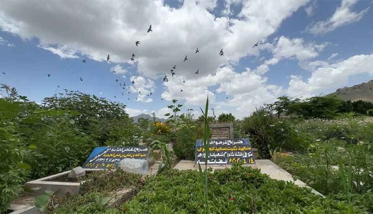 Increasing death rates [Graves] [5]