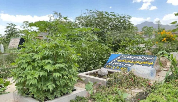 Increasing death rates [Graves] [4]