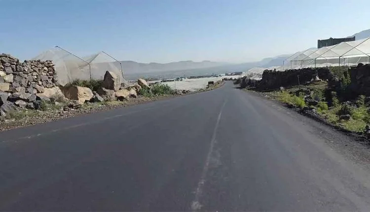 Passing by Qat farms [2]