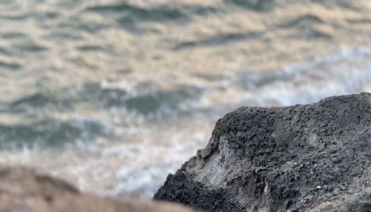 Rocks at sea shore [3]