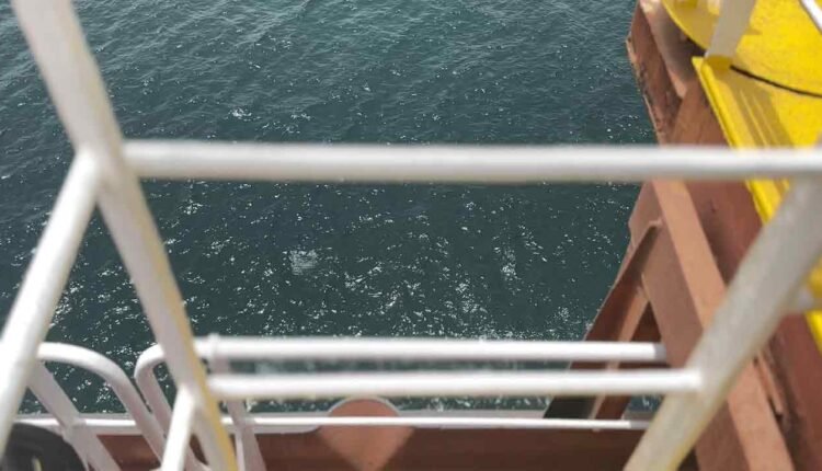 The replacement vessel Nautica [13]